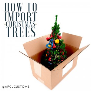 Importing Christmas Trees: What You Need to Know 2 import christmas trees feature image